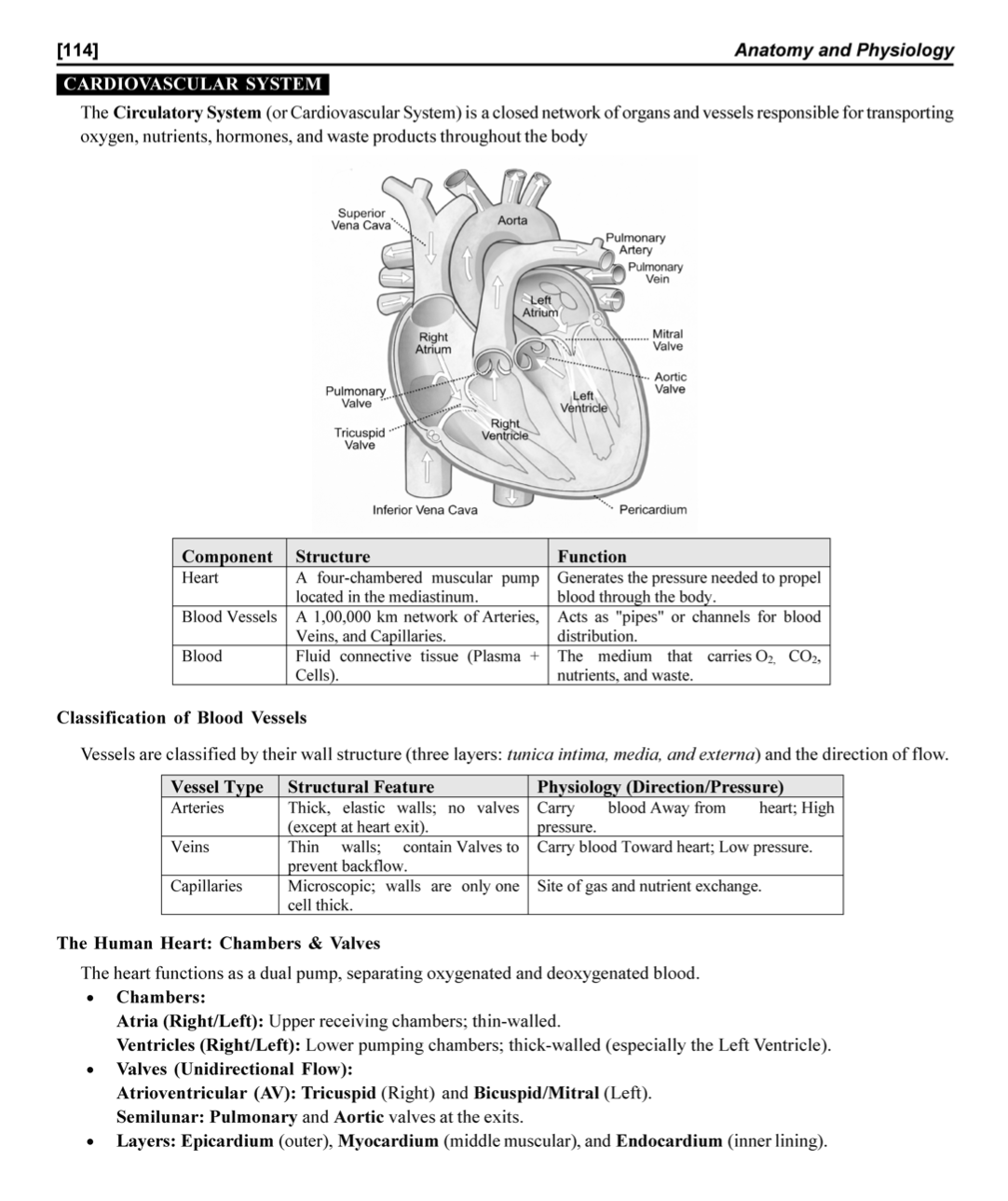 Radiographer book 2026 – anatomy diagram page for imaging technology MCQs